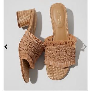 Chico’s Neutral Slides